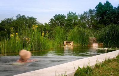 baignade écologique bassin biologique naturel piscine
