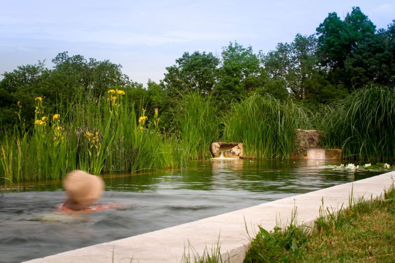 baignade écologique bassin biologique naturel piscine