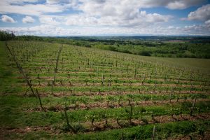 chambre-hote-gers-madiran-vin-brumont