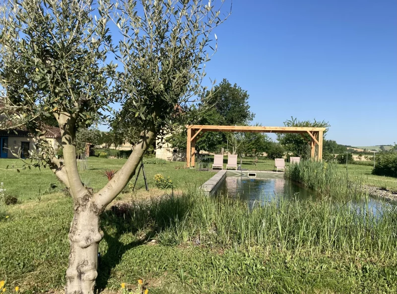 baignade naturelle bassin écologique biologique piscine